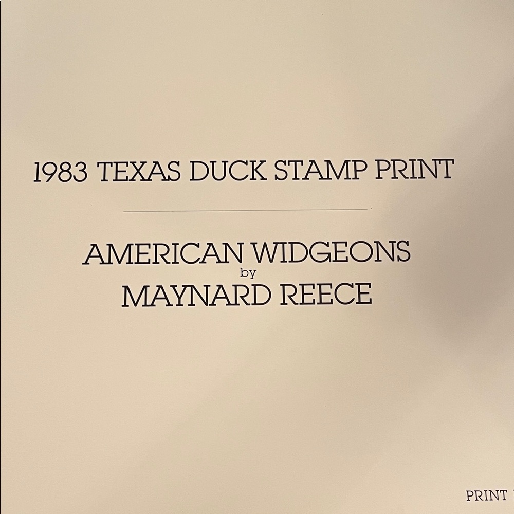 American Widgeons by Print